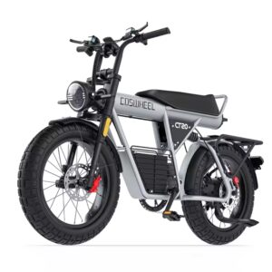 Coswheel CT20 SILVER 25ah 48V 1000W 45 Kmh FAT BIKE Ruote e pneumatici 20"*5"